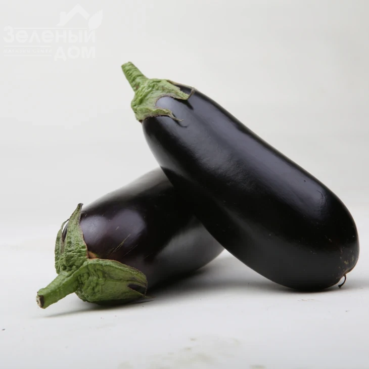 Антрацит F1 / Antratsyt F1,85-95 дней фото 2