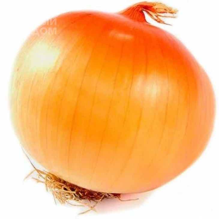 Эталон Гранд F1 / Etalon Grand F1.110-115 дней фото 1