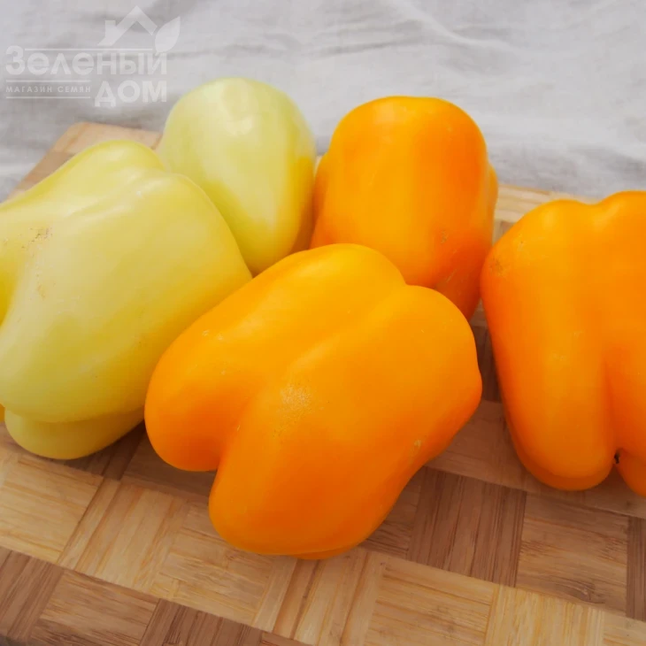 Тесла F1 / Tesla F1 фото 1