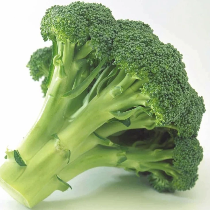 Монако F1 / Monaco F1,75-80 дней фото 1