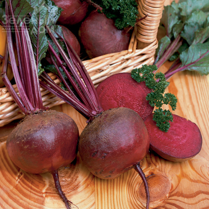 Нобол / Nobol, 70-90 днів фото 1