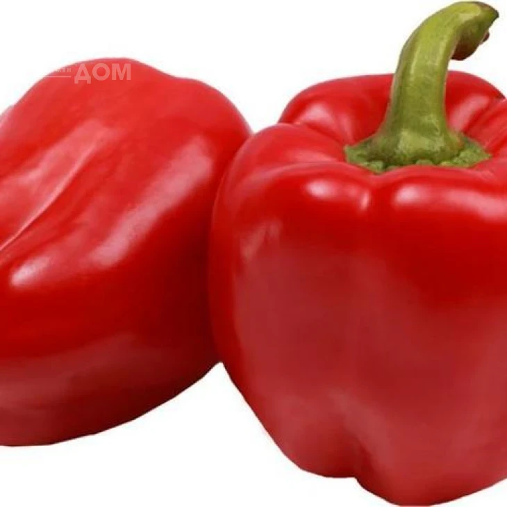 Рубика F1 / Rubika F1,70-80 дней фото 1