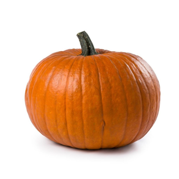 Бумер F1 / Bumer F1  фото 1