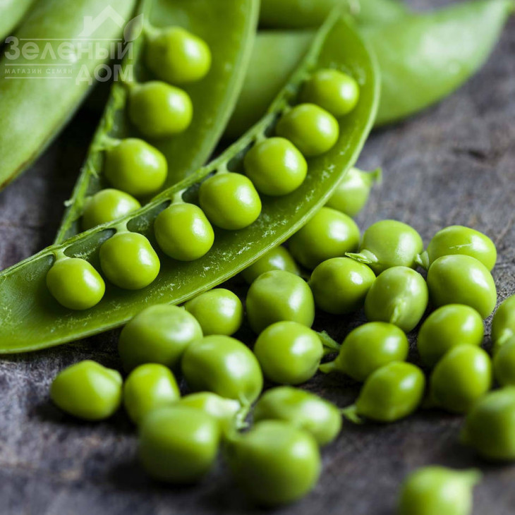 Преладо / Prelado, 58 днів фото 4