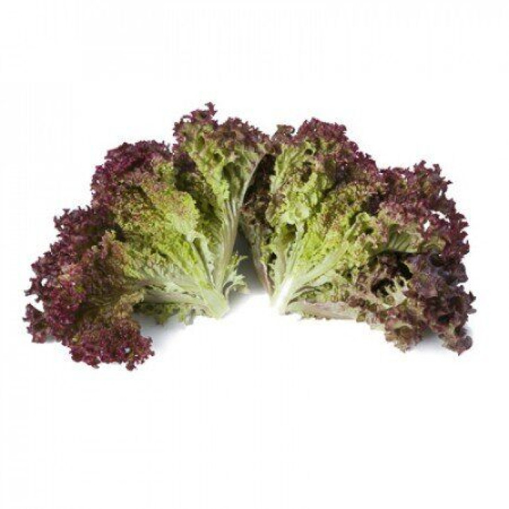 Сатін / Satine фото 2