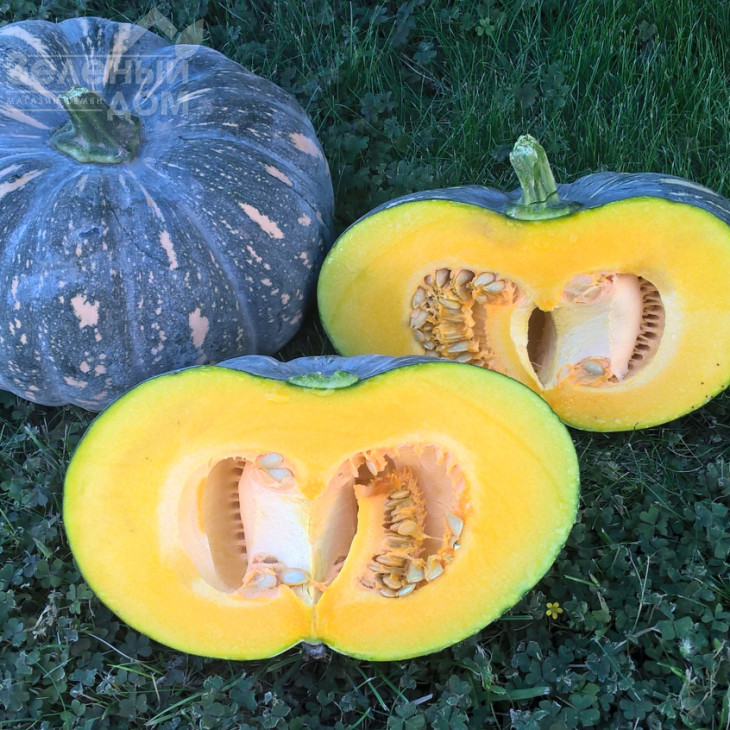 Хоншу F1 / Honshu F1,110-115 днів фото 1