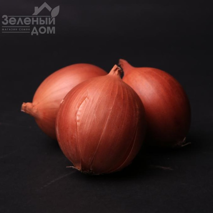 Доккер F1 / Dokker F1 фото 1