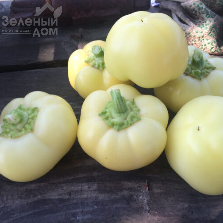 Мела Роса F1 / Mela Rosa F1, 60 днів фото 3