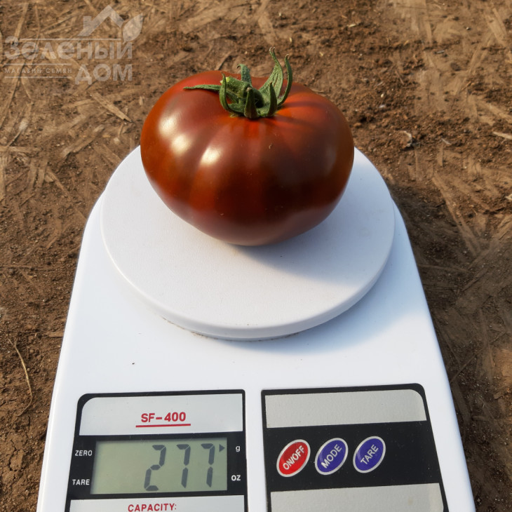 Керук F1 / Keruk F1, 70 днів фото 1