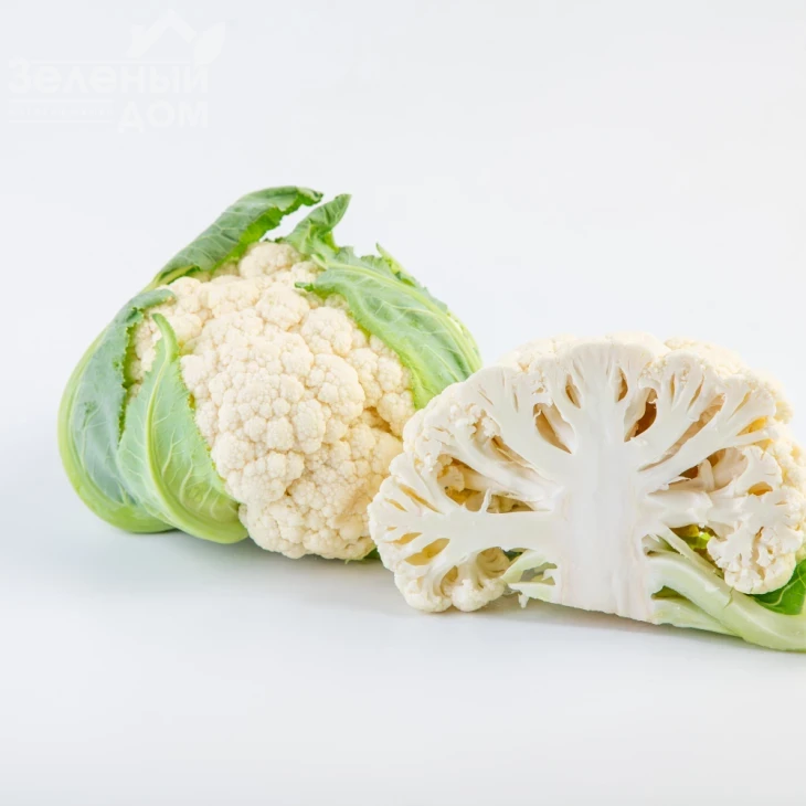 Абени F1 / Abeni F1,63 дня фото 2