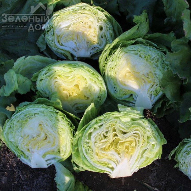 Едуардо / Eduardo фото 3