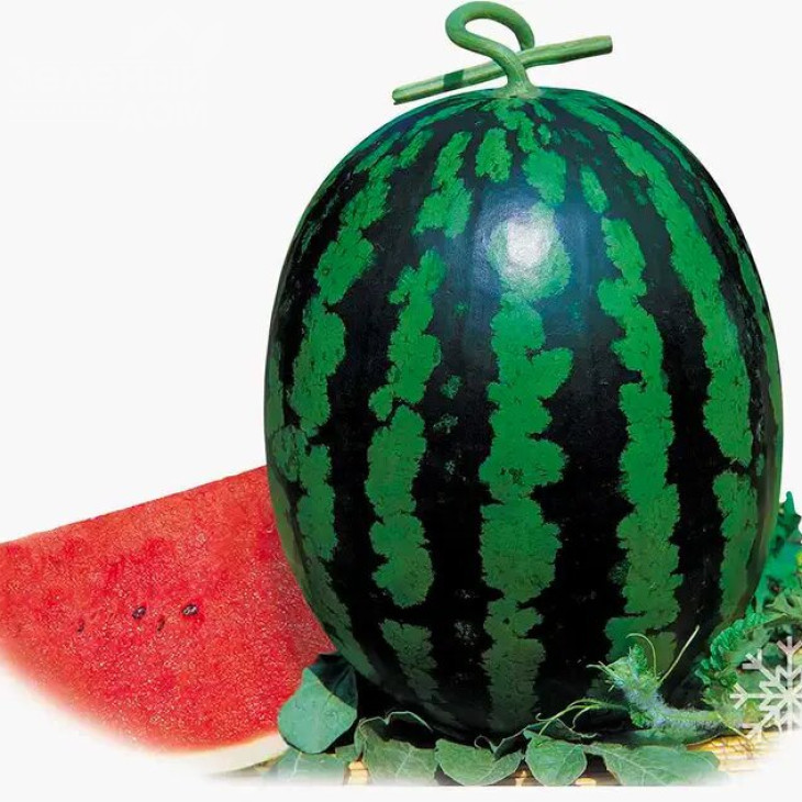 Май Хані F1 / My Hohey F1 фото 1