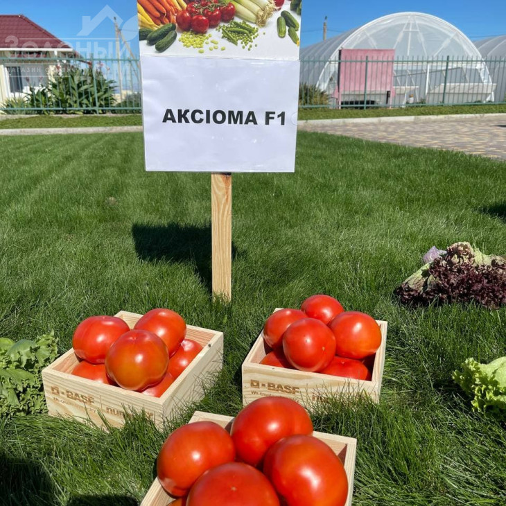 Аксіома F1 / Axiom F1,50-55 днів фото 1