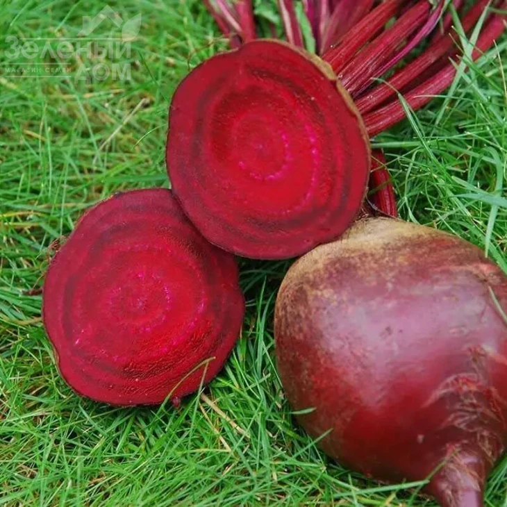 Ред Сан F1 / Red Sun F1,100-105 дней фото 3