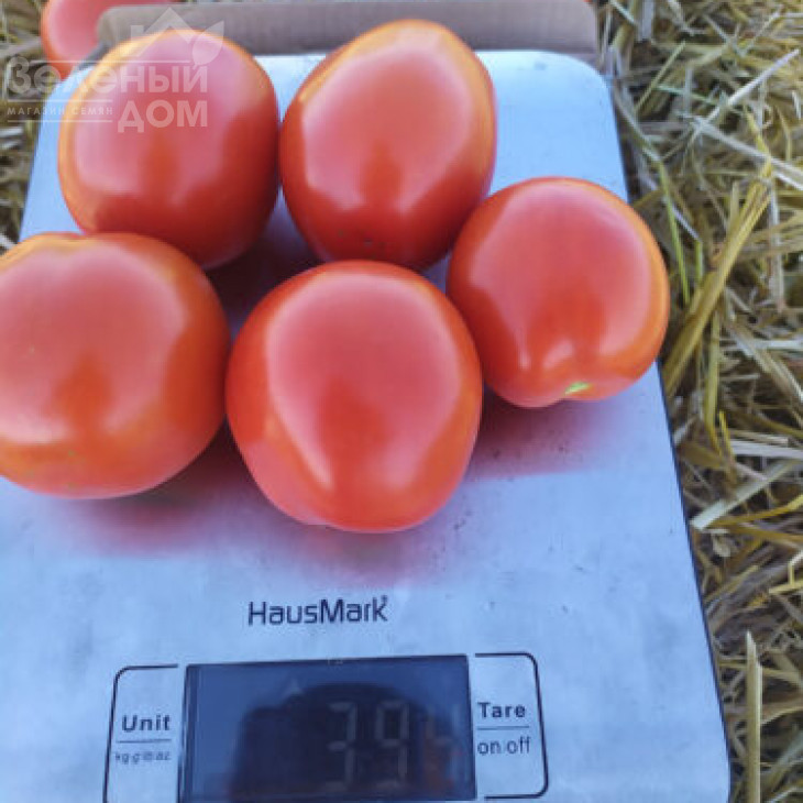 9960 F1 / 9960 F1, 110 днів фото 2