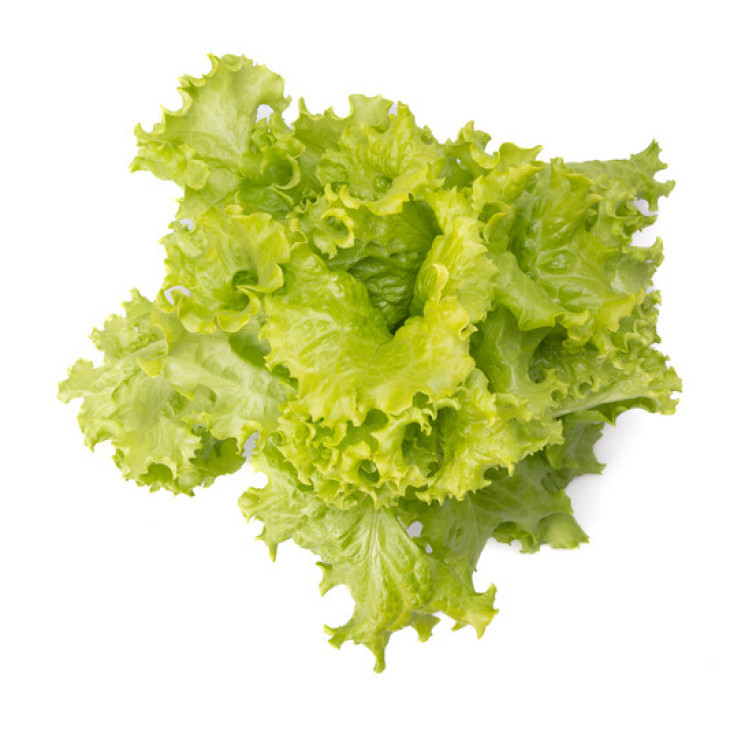 Афіліон / Aphylion фото 4