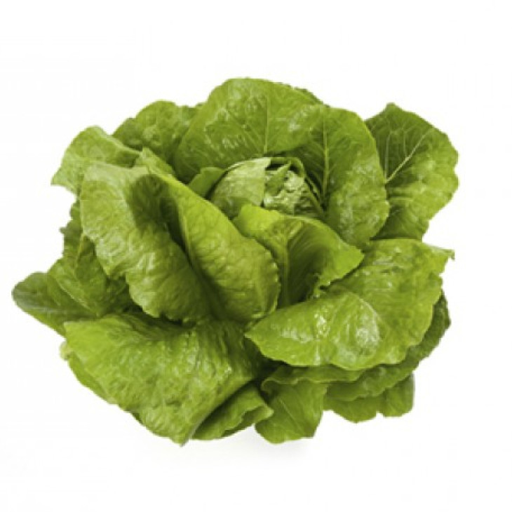 Веродіта / Verodita фото 1