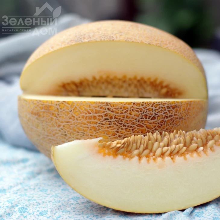 Голди F1 / Goldi F1,65-70 дней фото 1