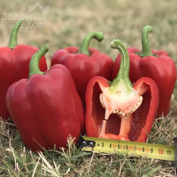 Кримсон Кинг F1 / Crimson King F1 фото 1