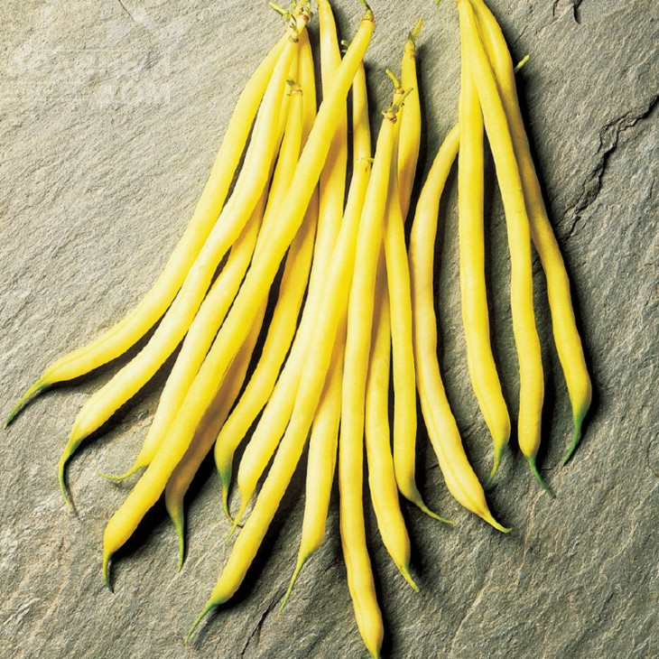 Фруідор / Fruidor фото 1