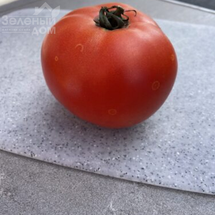 Стронг F1 / Strong F1, 115 днів фото 3