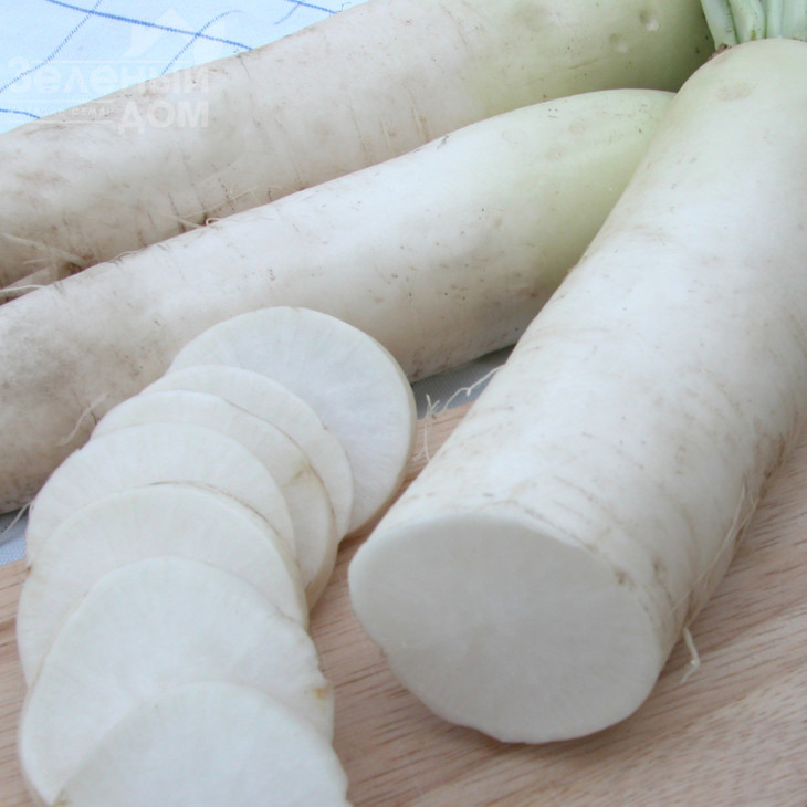 Алабастер F1 / Alabaster F1,75-85 днів фото 1