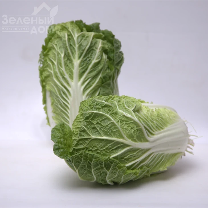 Ясира F1 / Yasira F1 фото 1