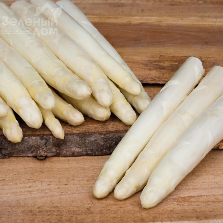 Сігнус F1 / Cygnus F1 фото 2