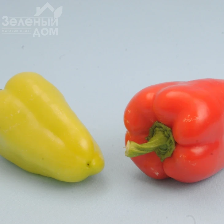 Асмик (LS 1309 F1) / Asmik (LS 1309 F1), 70-75 дней фото 1