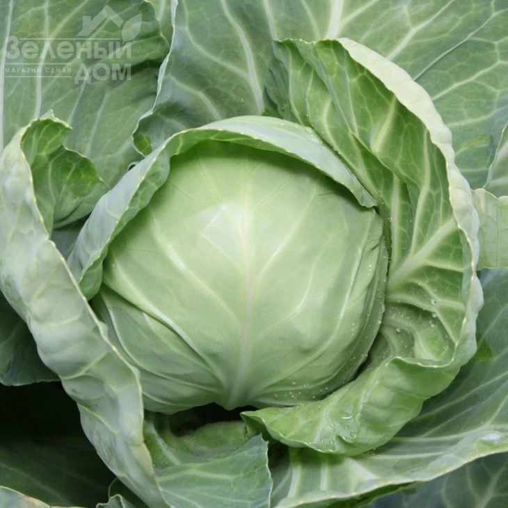 КС 1410 F1 / KS 1410 F1 фото 1