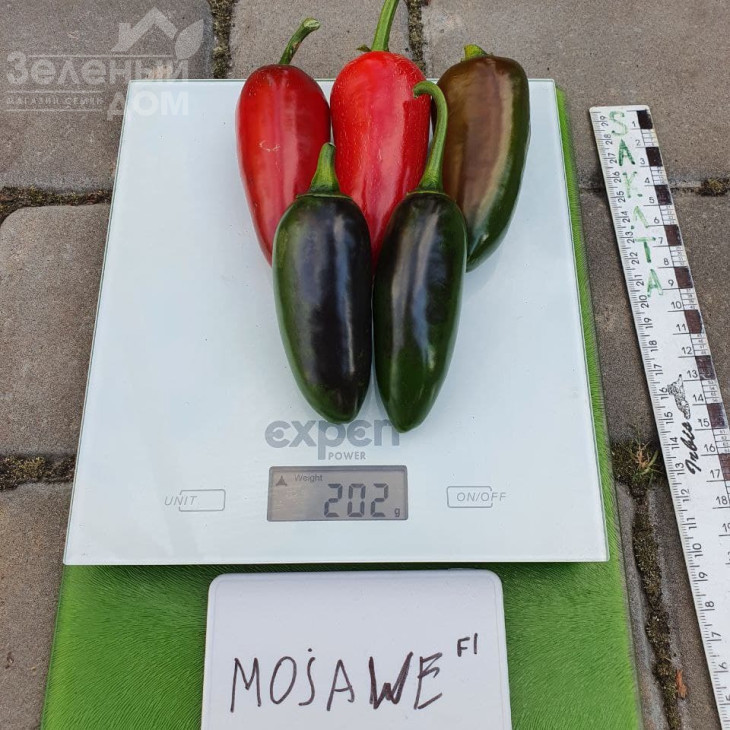 Моджаве F1 / Modzhave F1 фото 2