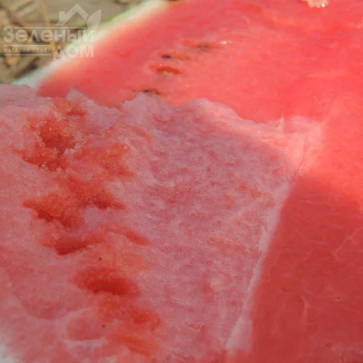 Ау Продюсер / AU Producer, 70-75 дней фото 6