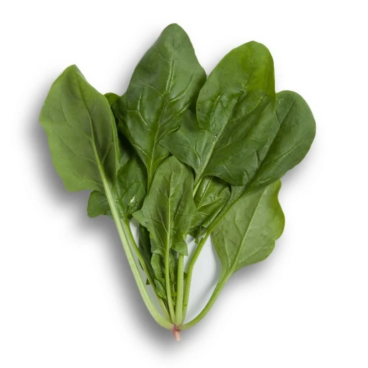 Боа F1 / Boa F1 фото 1