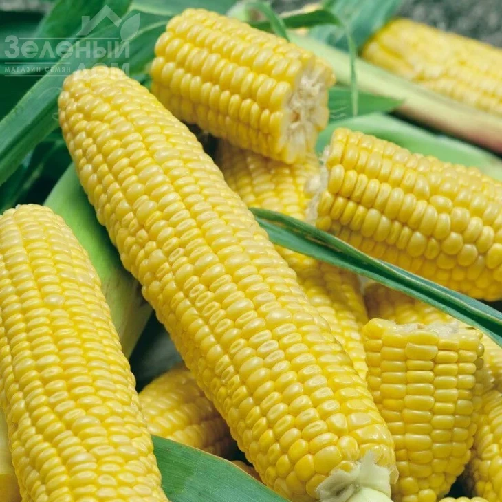 Луминокс F1 / Luminox F1,65-70 дней фото 1