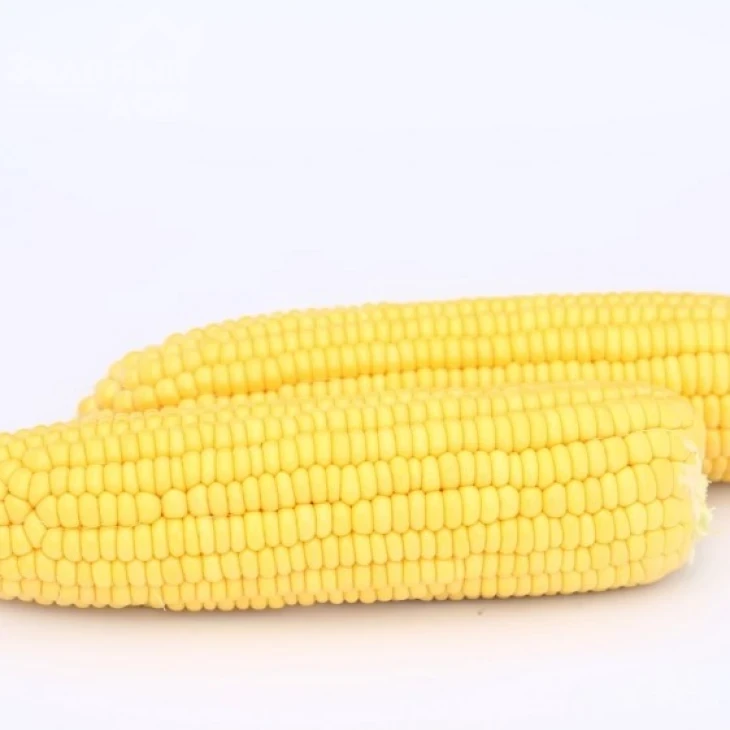 Баха F1 / Baha F1,70-74 дня фото 1