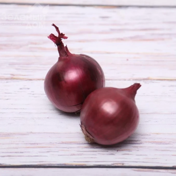 Тимур F1 (LS 5612) / Timur F1 (LS 5612) фото 3