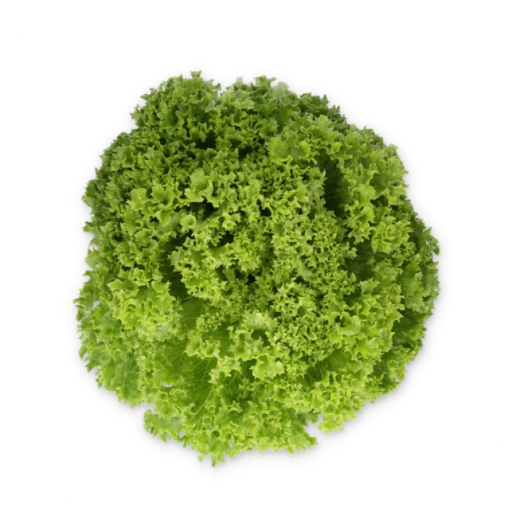 Лиадин / Liadine фото 3