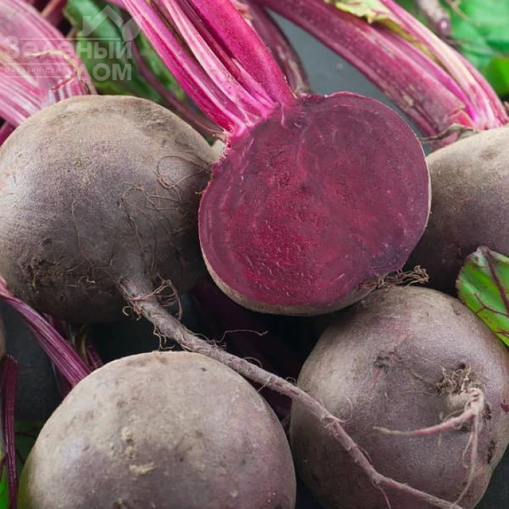 Детройт / Detroit,100-110 дней фото 1