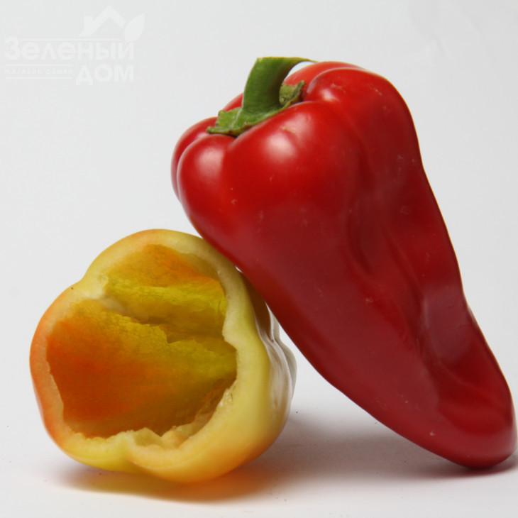 Амулет F1 / Amulet F1,50-60 днів фото 3