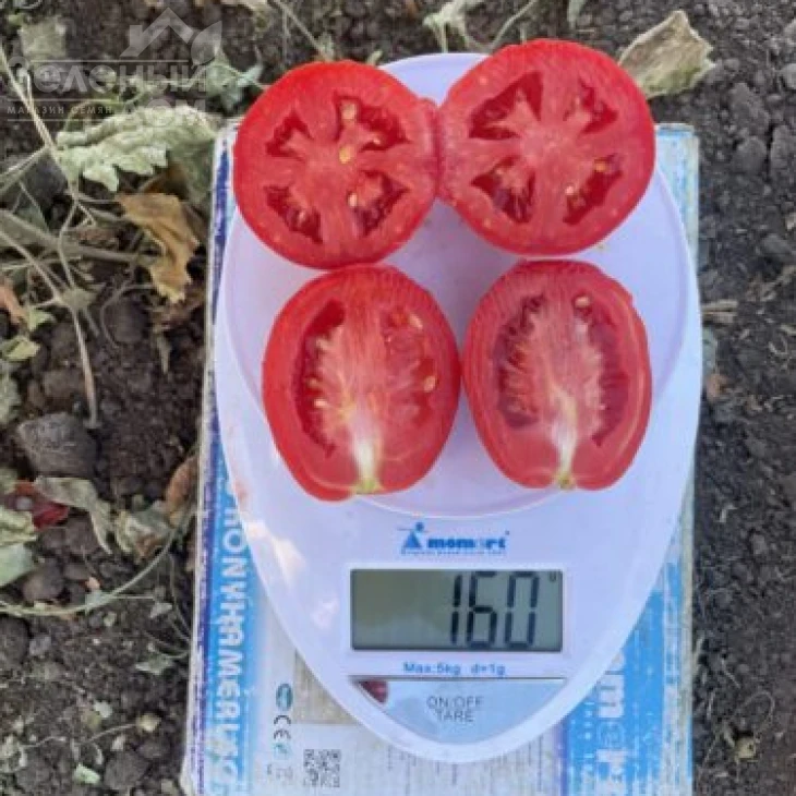 6107 F1 / 6107 F1 фото 3