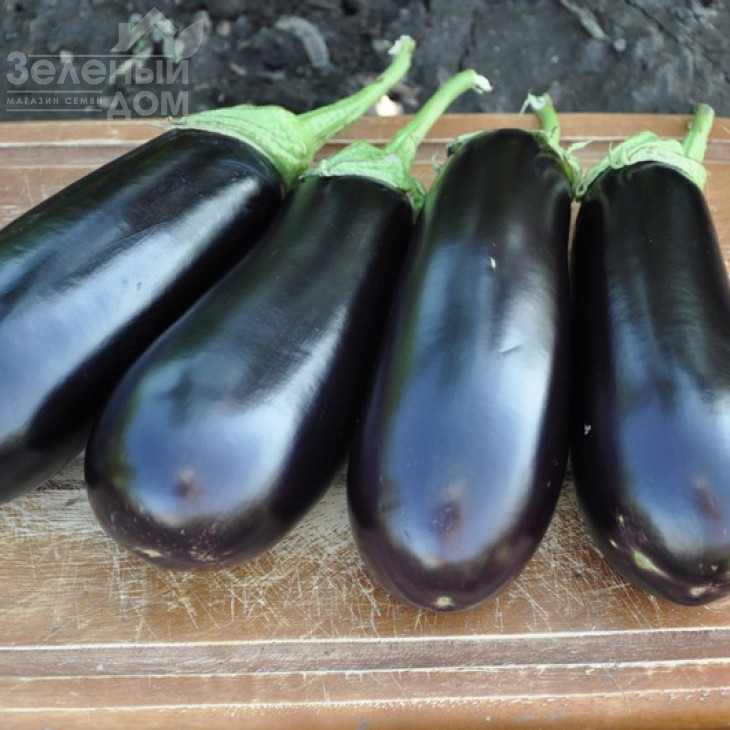 Бріджіт F1 / Brigitte F1,95-100 днів фото 1