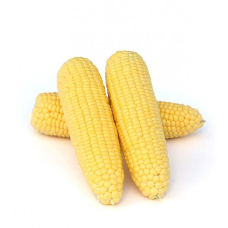 Карамелло F1 / Caramello F1,59-65 днів фото 4