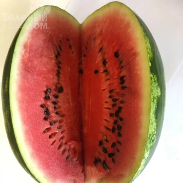 Дата F1 / Data F1, 70-73 дня фото 4