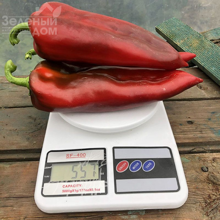 Ліра Спарк F1 / Lira Spark F1, 55 днів фото 2