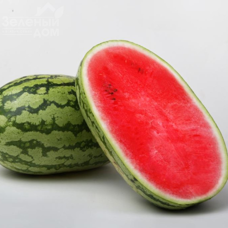 Астерікс (LS 1805) F1 / Asterix  (LS 1805) F1 фото 3