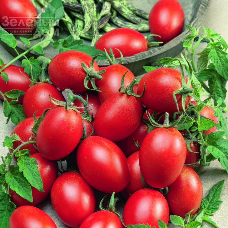 Блумко F1 / Blumko F1,100-110 днів фото 1