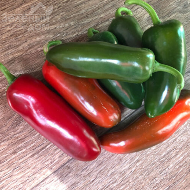 Джин F1 / Dzhyn F1, 60 днів фото 1