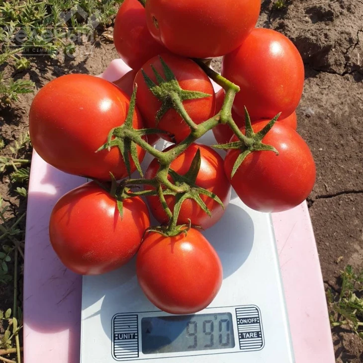 ЕЗ 14916 F1 / ES 14916 F1 фото 1