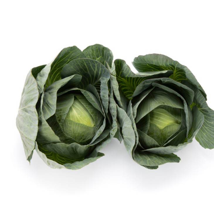 Лонгма F1 / Longma F1, 140-150 днів фото 1