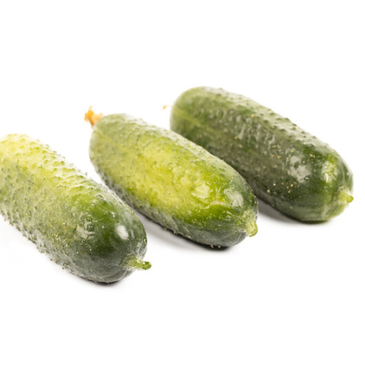 Дієз F1 / Diyez F1 фото 2